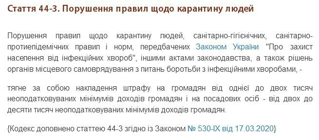 Чем грозят в карантин прогулки без масок и вылазки на шашлыки (дополнено) 7 007