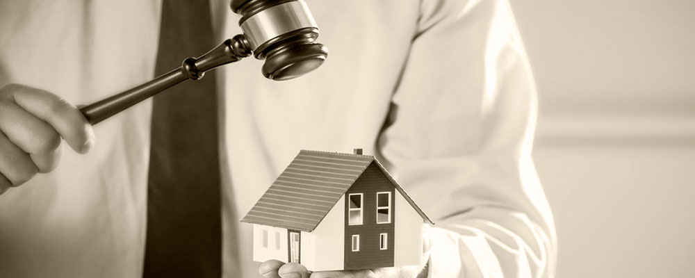 Construction and real estate. Property rights protection. Construction and real estate. Property rights protection.