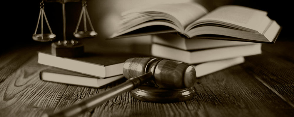 Representation and protection of interests in courts of all jurisdictions and instances. Representation and protection of interests in courts of all jurisdictions and instances.